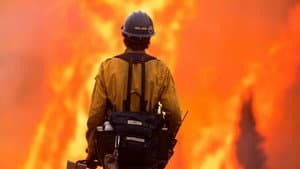 Incendies géants : enquête sur un nouveau fléau — foto 1