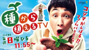 種から植えるTV — foto 1