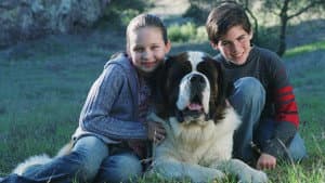 Beethoven 5: El perro buscatesoros — foto 4
