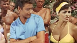 A Swingin' Summer — foto 1
