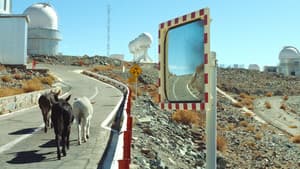 Une parfaite étrangeté — foto 3