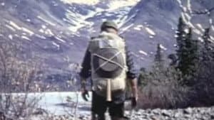 Alone in the Wilderness — foto 1