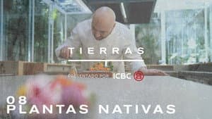 Episodio 8