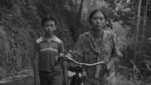 Bunga dan Tembok — foto 1