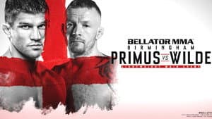 Bellator Birmingham — foto 1