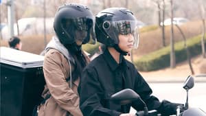 오프닝 — foto 8