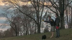 Frolf: The Movie — foto 1