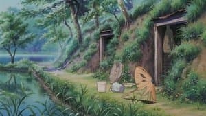 La Tumba de las Luciérnagas — foto 5