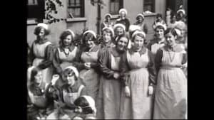 The Forgotten Maggies — foto 1