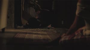 Lilium — foto 1