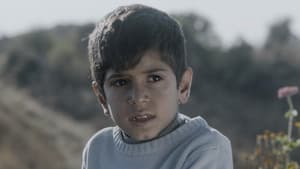 أمي — foto 1