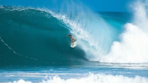 Searching for Tom Curren — foto 1