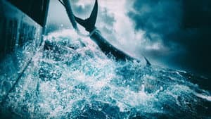 Wicked Tuna — foto 3