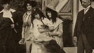 Shep's Race with Death — foto 1