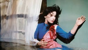Inside Björk — foto 1