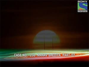 Episodio 238