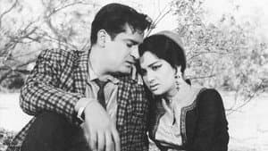 तीसरी मंज़िल — foto 3