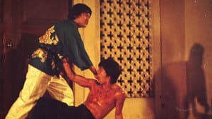 忠烈精武門 — foto 1