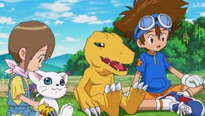 Episodio 41