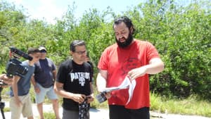 Bocas — foto 2