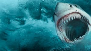 Sharkcano — foto 7