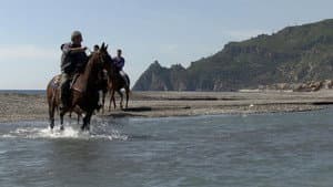 Episodio 8