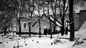 Lågor i dunklet — foto 5