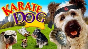 The Karate Dog — foto 4