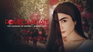 Pomegranate — foto 3