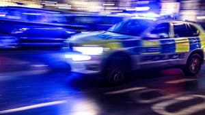 Traffic Cops — foto 2