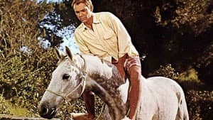 The Horse in the Gray Flannel Suit — foto 11
