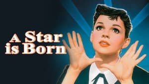 Nace una estrella — foto 11