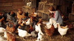 Au fil des saisons — foto 1