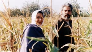 مزرعه پدری — foto 1