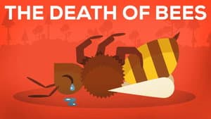 Episodio 9