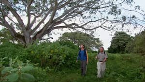 The Real Lost World — foto 1