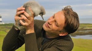 The Animal's Guide to Britain — foto 1