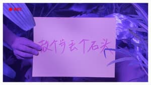 一拍脑袋一个梦 — foto 6
