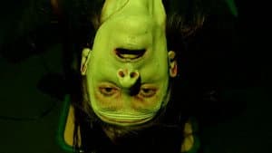 Frankenstein Created Robyn — foto 1
