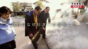 ブラタモリ — foto 2