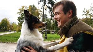 Не моё собачье дело — foto 3