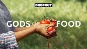 Gods of Food — foto 2