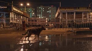 Space Dogs — foto 3