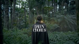 Dawn Chorus — foto 1
