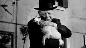 Umberto D. — foto 5