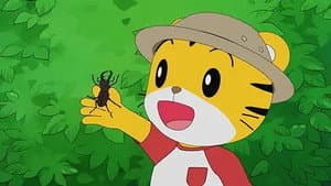 Episodio 18