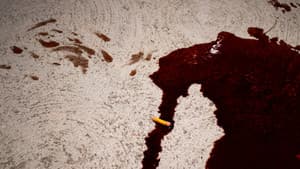 Blood Money Blues — foto 1