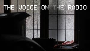 The Voice on The Radio — foto 1