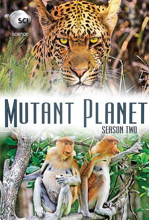 Temporada 2