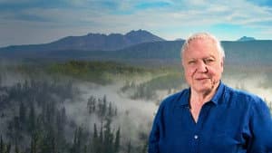 David Attenborough's Tasmania — foto 1
